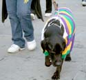 MYSTIC_KREWE_OF_BARKUS_2007_PARADE_PICTURES_0633