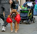 MYSTIC_KREWE_OF_BARKUS_2007_PARADE_PICTURES_0644