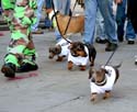 MYSTIC_KREWE_OF_BARKUS_2007_PARADE_PICTURES_0650