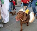 MYSTIC_KREWE_OF_BARKUS_2007_PARADE_PICTURES_0659