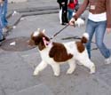 MYSTIC_KREWE_OF_BARKUS_2007_PARADE_PICTURES_0669