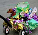 MYSTIC_KREWE_OF_BARKUS_2007_PARADE_PICTURES_0676