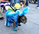 MYSTIC_KREWE_OF_BARKUS_2007_PARADE_PICTURES_0704