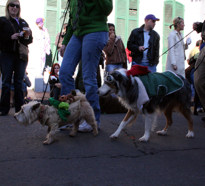 2008-Krewe-of-Barkus-Mardi-Gras-2008-New-Orleans-Parade-0412