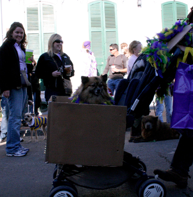 2008-Krewe-of-Barkus-Mardi-Gras-2008-New-Orleans-Parade-0416