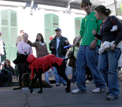 2008-Krewe-of-Barkus-Mardi-Gras-2008-New-Orleans-Parade-0442