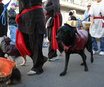 2008-Krewe-of-Barkus-Mardi-Gras-2008-New-Orleans-Parade-0444