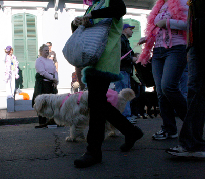 2008-Krewe-of-Barkus-Mardi-Gras-2008-New-Orleans-Parade-0445