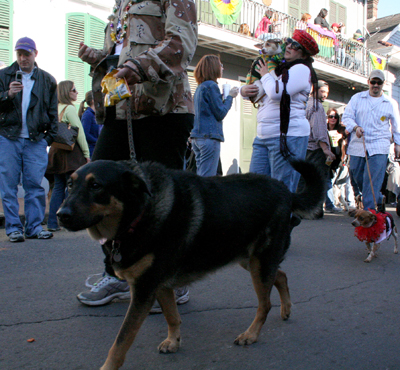 2008-Krewe-of-Barkus-Mardi-Gras-2008-New-Orleans-Parade-0448