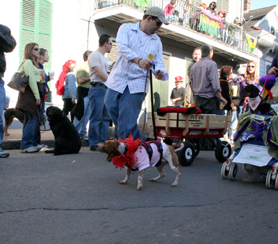 2008-Krewe-of-Barkus-Mardi-Gras-2008-New-Orleans-Parade-0449