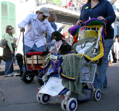 2008-Krewe-of-Barkus-Mardi-Gras-2008-New-Orleans-Parade-0450