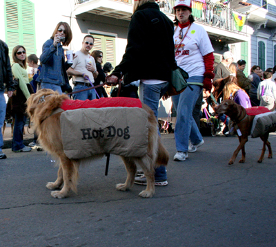 2008-Krewe-of-Barkus-Mardi-Gras-2008-New-Orleans-Parade-0455