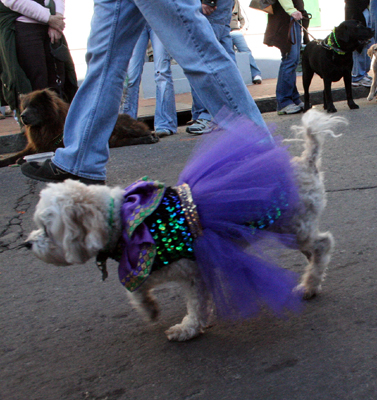 2008-Krewe-of-Barkus-Mardi-Gras-2008-New-Orleans-Parade-0458