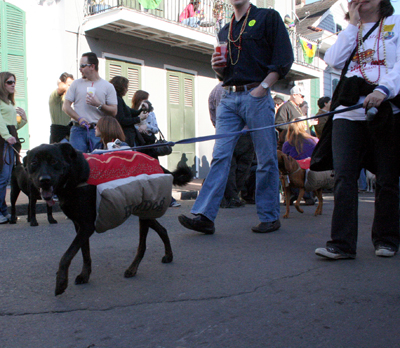 2008-Krewe-of-Barkus-Mardi-Gras-2008-New-Orleans-Parade-0459