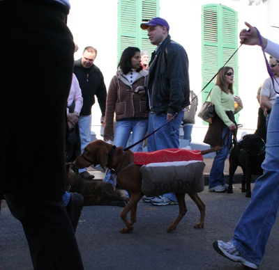 2008-Krewe-of-Barkus-Mardi-Gras-2008-New-Orleans-Parade-0460