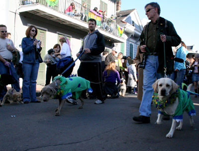 2008-Krewe-of-Barkus-Mardi-Gras-2008-New-Orleans-Parade-0461