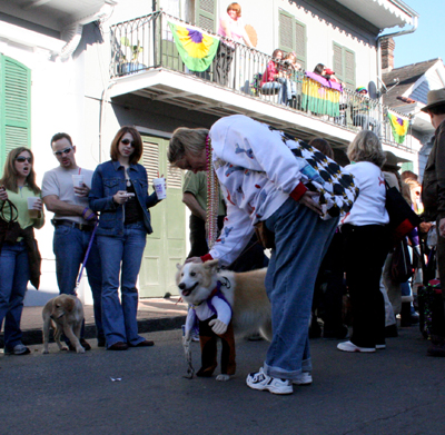 2008-Krewe-of-Barkus-Mardi-Gras-2008-New-Orleans-Parade-0469