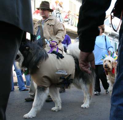 2008-Krewe-of-Barkus-Mardi-Gras-2008-New-Orleans-Parade-0484