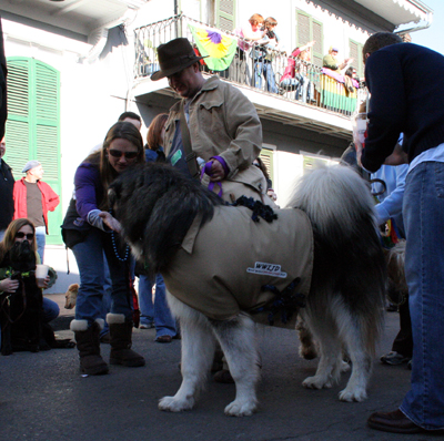 2008-Krewe-of-Barkus-Mardi-Gras-2008-New-Orleans-Parade-0485