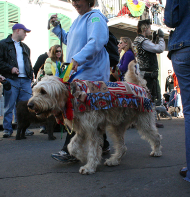 2008-Krewe-of-Barkus-Mardi-Gras-2008-New-Orleans-Parade-0488