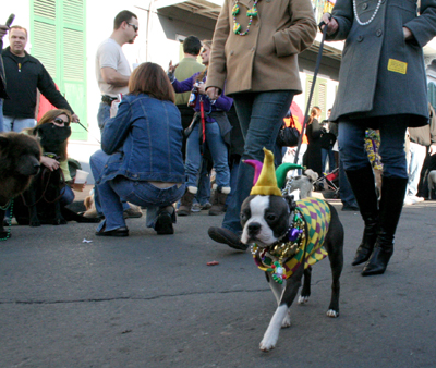 2008-Krewe-of-Barkus-Mardi-Gras-2008-New-Orleans-Parade-0494