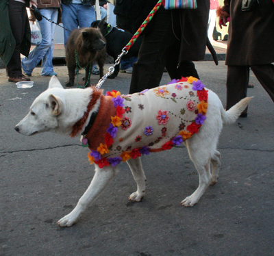 2008-Krewe-of-Barkus-Mardi-Gras-2008-New-Orleans-Parade-0498