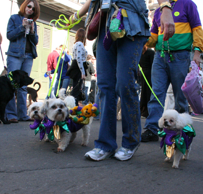 2008-Krewe-of-Barkus-Mardi-Gras-2008-New-Orleans-Parade-0503