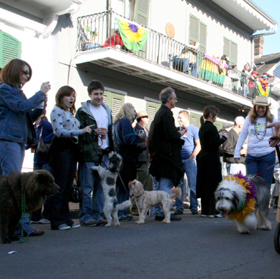 2008-Krewe-of-Barkus-Mardi-Gras-2008-New-Orleans-Parade-0516