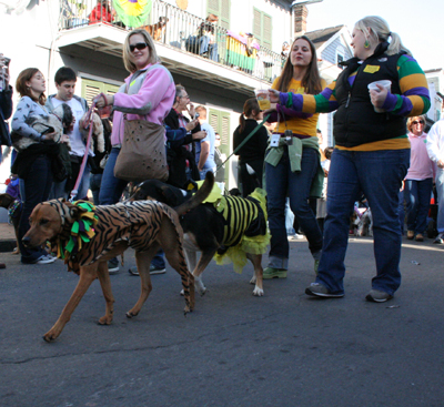 2008-Krewe-of-Barkus-Mardi-Gras-2008-New-Orleans-Parade-0524