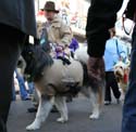 2008-Krewe-of-Barkus-Mardi-Gras-2008-New-Orleans-Parade-0484