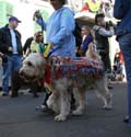 2008-Krewe-of-Barkus-Mardi-Gras-2008-New-Orleans-Parade-0488