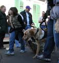 2008-Krewe-of-Barkus-Mardi-Gras-2008-New-Orleans-Parade-0509