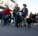 2008-Krewe-of-Barkus-Mardi-Gras-2008-New-Orleans-Parade-0520