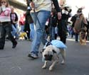 2008-Krewe-of-Barkus-Mardi-Gras-2008-New-Orleans-Parade-0527