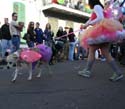 2008-Krewe-of-Barkus-Mardi-Gras-2008-New-Orleans-Parade-0548