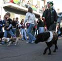 2008-Krewe-of-Barkus-Mardi-Gras-2008-New-Orleans-Parade-0552