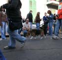 2008-Krewe-of-Barkus-Mardi-Gras-2008-New-Orleans-Parade-0558