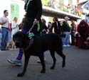 2008-Krewe-of-Barkus-Mardi-Gras-2008-New-Orleans-Parade-0570