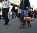 2008-Krewe-of-Barkus-Mardi-Gras-2008-New-Orleans-Parade-0574