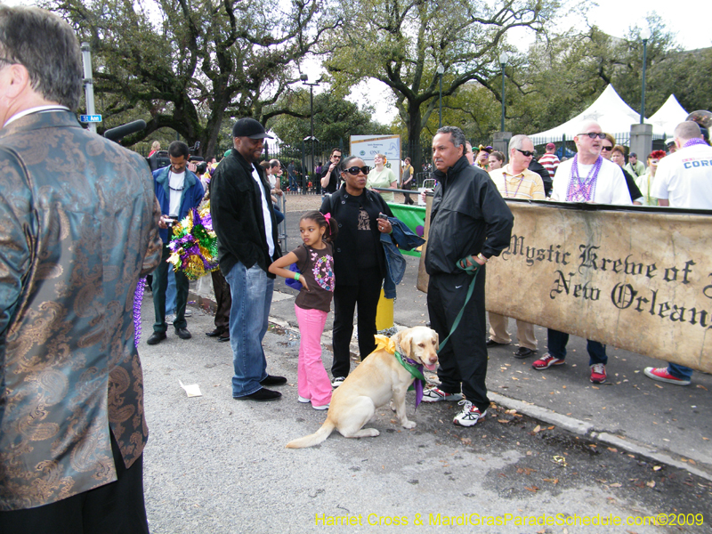 2009-Mystic-Krewe-of-Barkus-Mardi-Gras-French-Quarter-New-Orleans-Dog-Parade-Harriet-Cross-7199