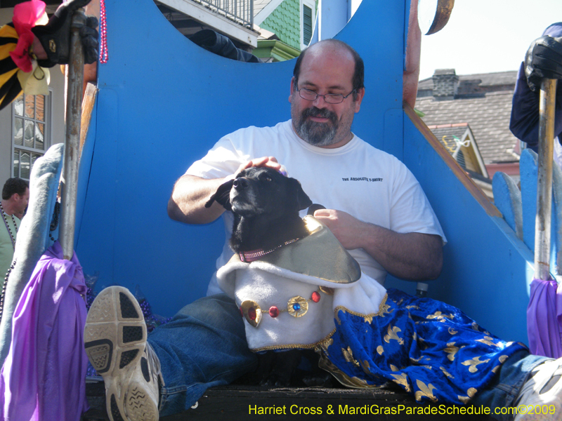 2009-Mystic-Krewe-of-Barkus-Mardi-Gras-French-Quarter-New-Orleans-Dog-Parade-Harriet-Cross-7220