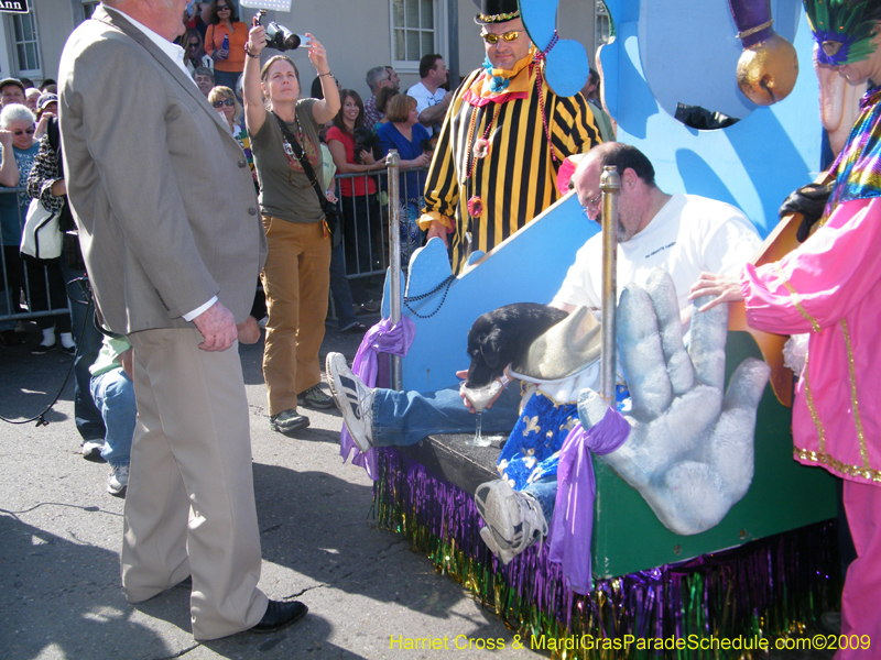 2009-Mystic-Krewe-of-Barkus-Mardi-Gras-French-Quarter-New-Orleans-Dog-Parade-Harriet-Cross-7224