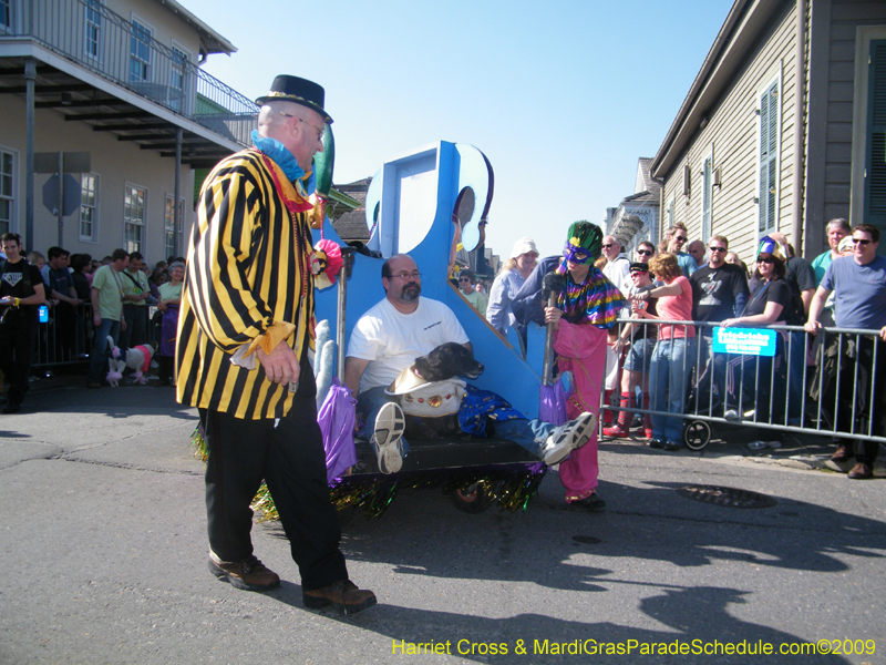 2009-Mystic-Krewe-of-Barkus-Mardi-Gras-French-Quarter-New-Orleans-Dog-Parade-Harriet-Cross-7226