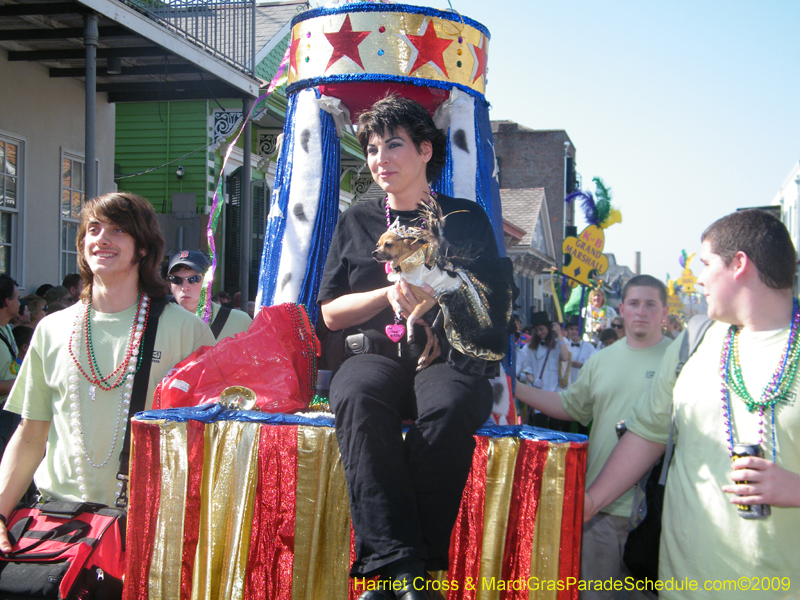 2009-Mystic-Krewe-of-Barkus-Mardi-Gras-French-Quarter-New-Orleans-Dog-Parade-Harriet-Cross-7229