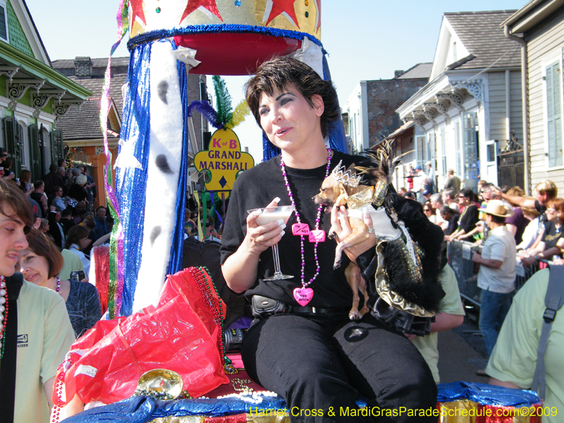 2009-Mystic-Krewe-of-Barkus-Mardi-Gras-French-Quarter-New-Orleans-Dog-Parade-Harriet-Cross-7232