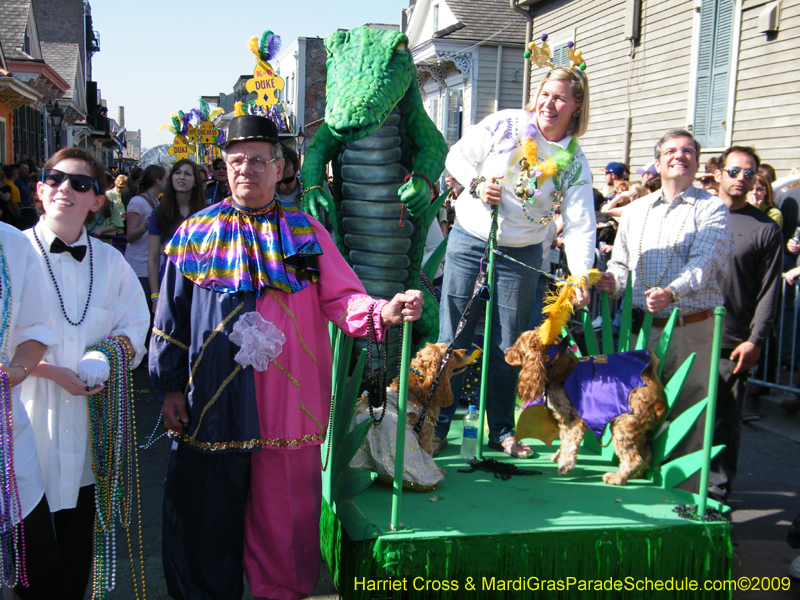 2009-Mystic-Krewe-of-Barkus-Mardi-Gras-French-Quarter-New-Orleans-Dog-Parade-Harriet-Cross-7237