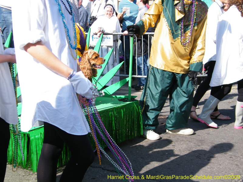 2009-Mystic-Krewe-of-Barkus-Mardi-Gras-French-Quarter-New-Orleans-Dog-Parade-Harriet-Cross-7238