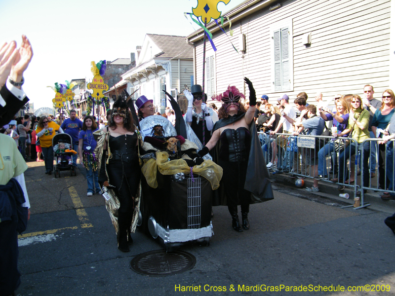 2009-Mystic-Krewe-of-Barkus-Mardi-Gras-French-Quarter-New-Orleans-Dog-Parade-Harriet-Cross-7240