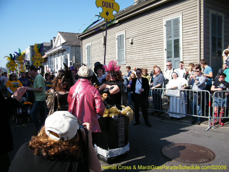 2009-Mystic-Krewe-of-Barkus-Mardi-Gras-French-Quarter-New-Orleans-Dog-Parade-Harriet-Cross-7241