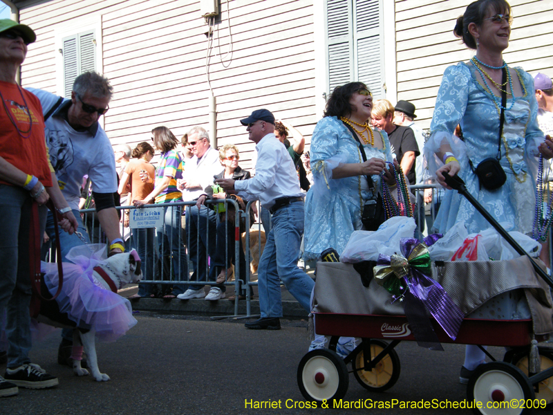 2009-Mystic-Krewe-of-Barkus-Mardi-Gras-French-Quarter-New-Orleans-Dog-Parade-Harriet-Cross-7249